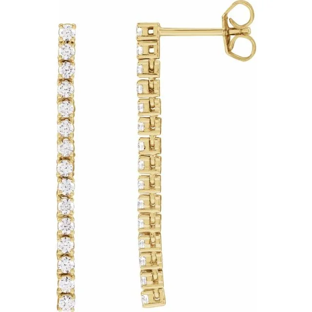 Accented Drop Earrings